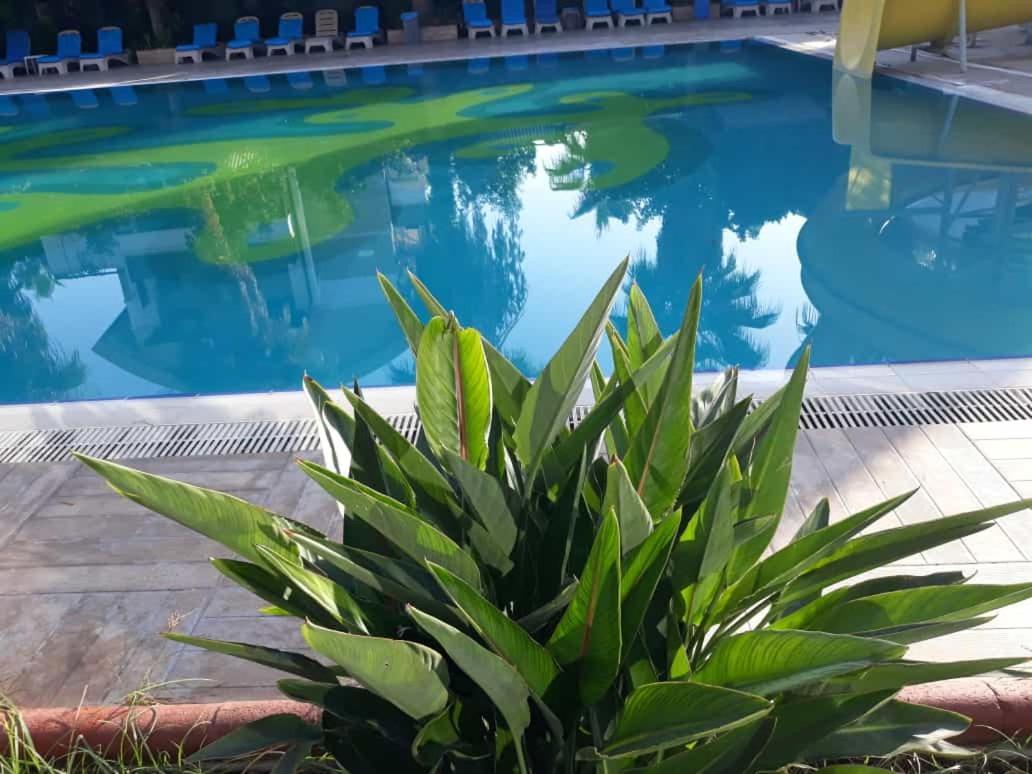 فندق Club Jovia Kemer أنطاليا المظهر الخارجي الصورة