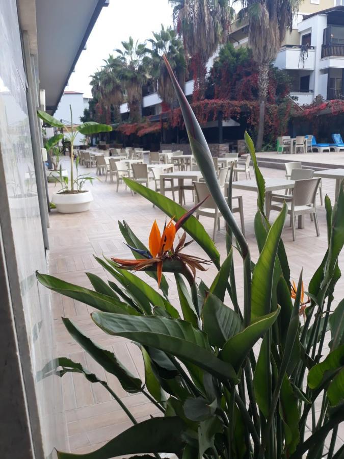 فندق Club Jovia Kemer أنطاليا المظهر الخارجي الصورة